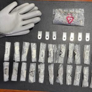 225 Piece Bulk Pack - Blade and Screw Set (With Safety Gloves)